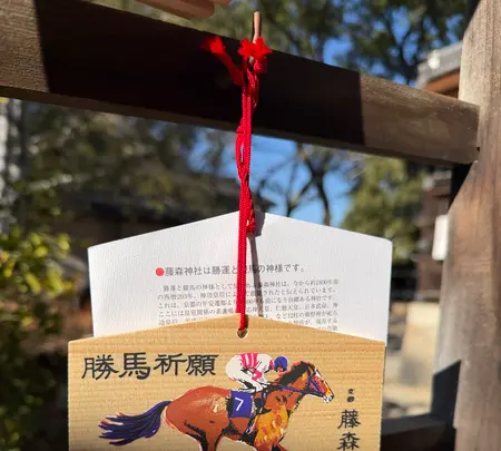 藤森神社の写真・動画_image_800121