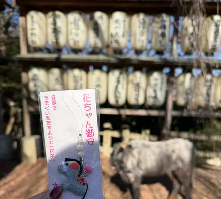 大石神社の写真・動画_image_800123