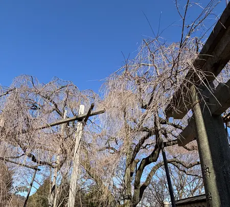 大石神社の写真・動画_image_800126