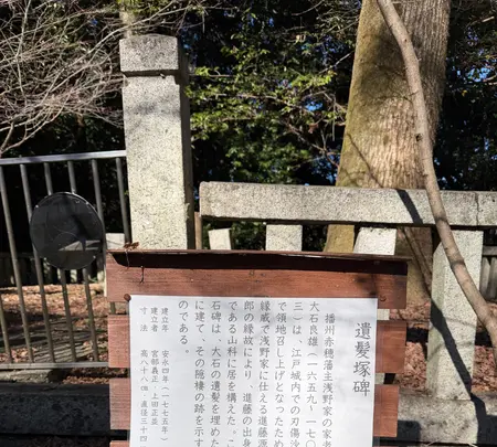 神遊山 岩屋寺の写真・動画_image_800131