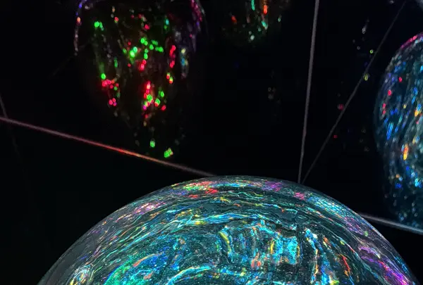 チームラボ バイオヴォルテックス 京都の写真・動画_image_800184