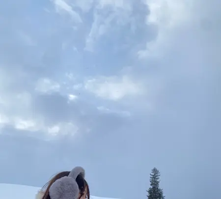 クリスマスツリーの木の写真・動画_image_801305