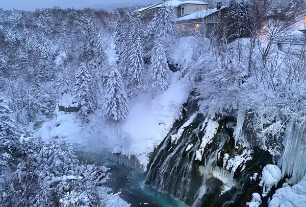 白ひげの滝の写真・動画_image_801307