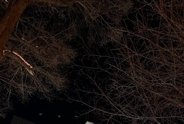 札幌市時計台の写真・動画_image_801309