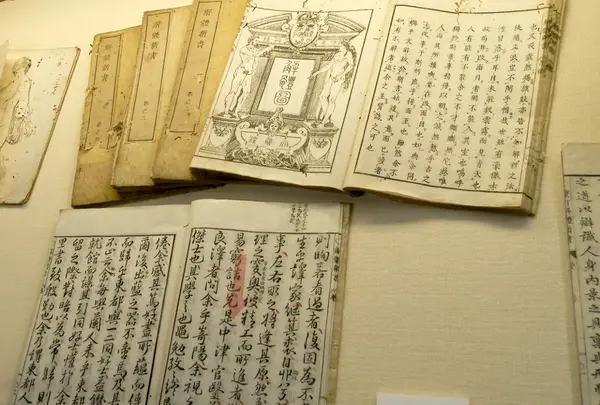 大江医家史料館の写真・動画_image_80218