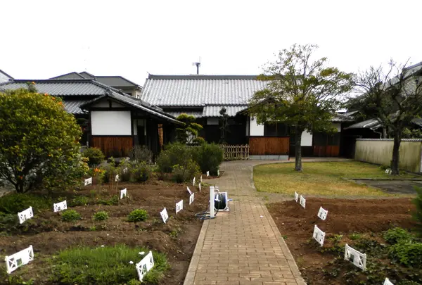 大江医家史料館の写真・動画_image_80219