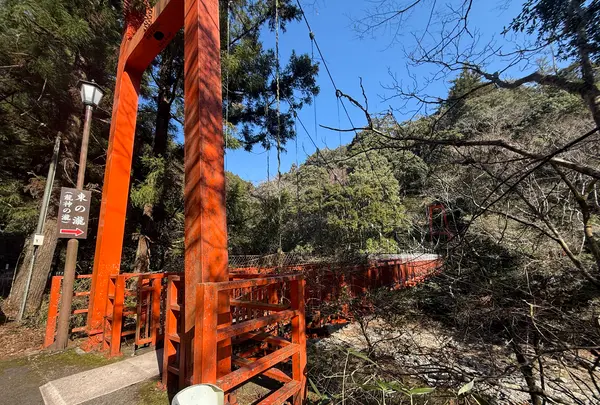 夢橋の写真・動画_image_802451