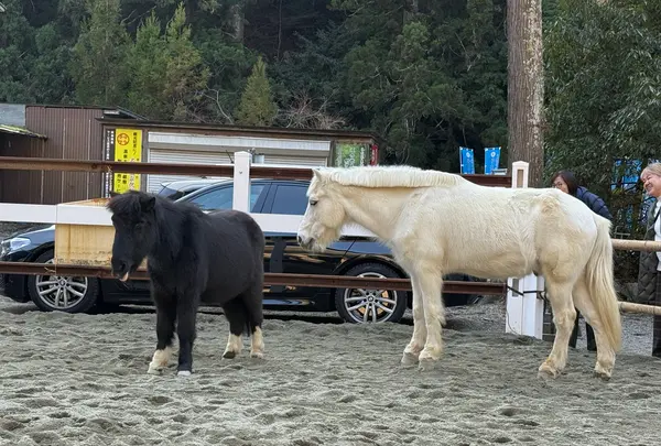 丹生川上神社下社 一之鳥居の写真・動画_image_802456