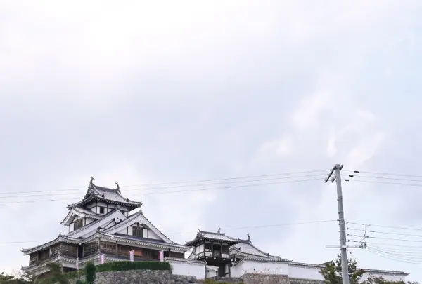 アゲバンバンの写真・動画_image_80308