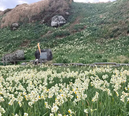 爪木崎の写真・動画_image_803081