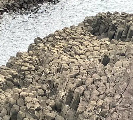 爪木崎の写真・動画_image_803082