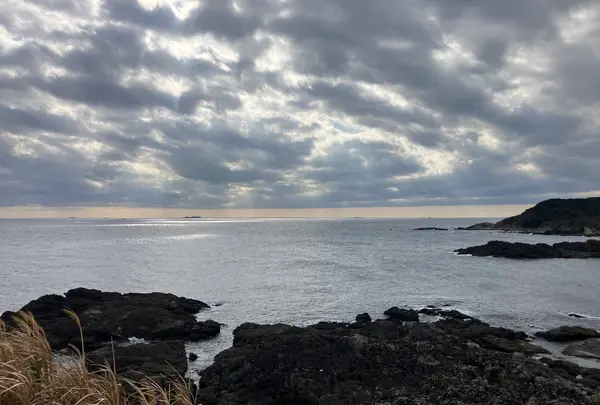 爪木崎の写真・動画_image_803083