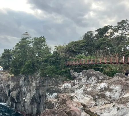 城ヶ崎海岸の写真・動画_image_803085