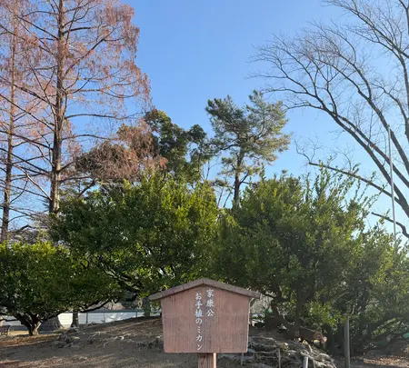 駿府城公園の写真・動画_image_803190