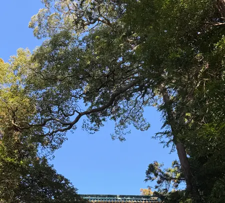 久能山東照宮の写真・動画_image_803205