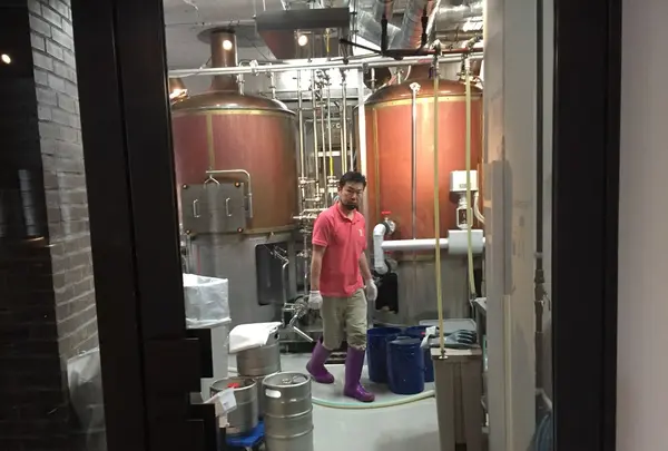 Y.Market Brewingの写真・動画_image_80330