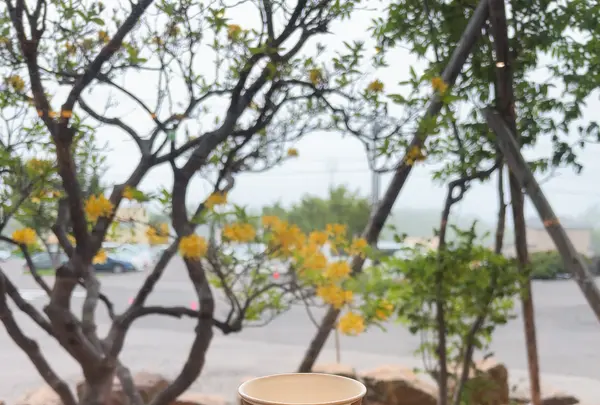 K I K I  知床 ナチュラルリゾートの写真・動画_image_803432