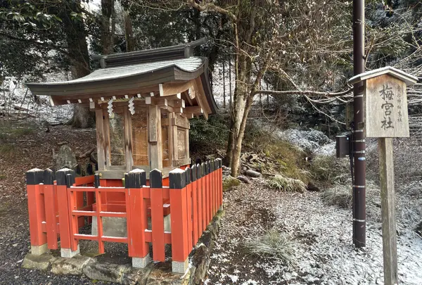 貴船神社末社 梅宮社の写真・動画_image_803451
