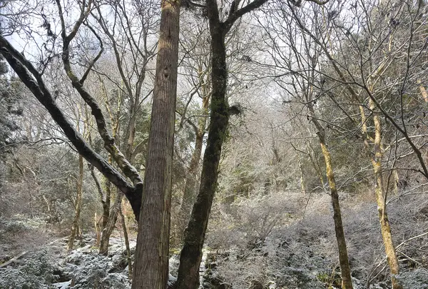 貴船神社 奥宮の写真・動画_image_803462