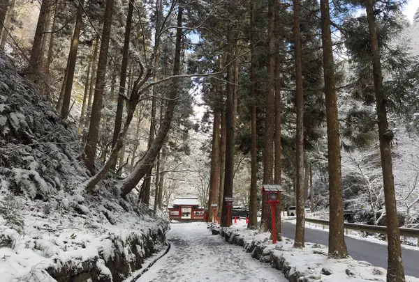 貴船神社 奥宮の写真・動画_image_803466