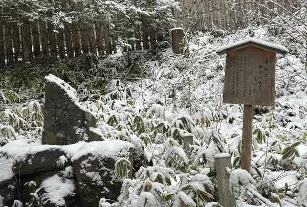 貴船神社 中宮 結社の写真・動画_image_803520