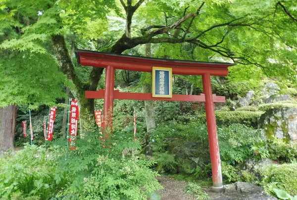 宗休寺（関善光寺）の写真・動画_image_80449
