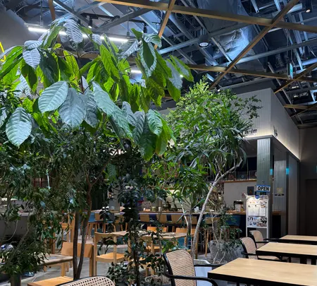 CHICKEN RICE CLUB(チキンライスクラブ) 虎ノ門ヒルズステーションタワー店の写真・動画_image_804606