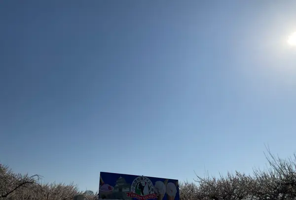 小田原牧場アイス工房の写真・動画_image_804973