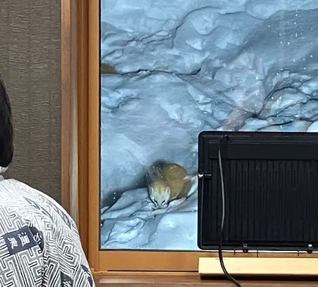 谷地温泉の写真・動画_image_805383