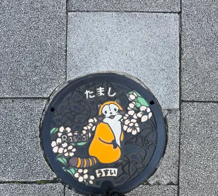 多摩市立 関戸公民館の写真・動画_image_805980