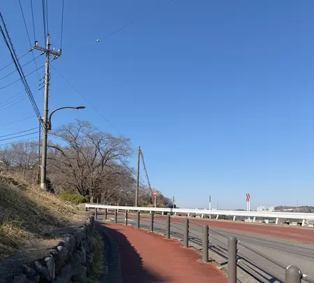 いろは坂の写真・動画_image_805986