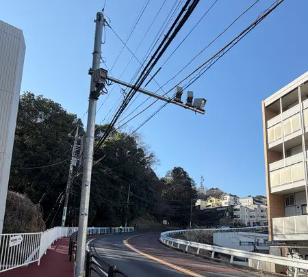 いろは坂の写真・動画_image_805987