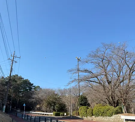 いろは坂の写真・動画_image_805988