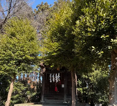 金比羅宮の写真・動画_image_805991