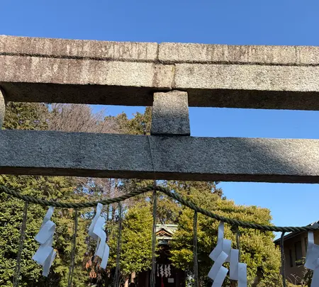 金比羅宮の写真・動画_image_805992