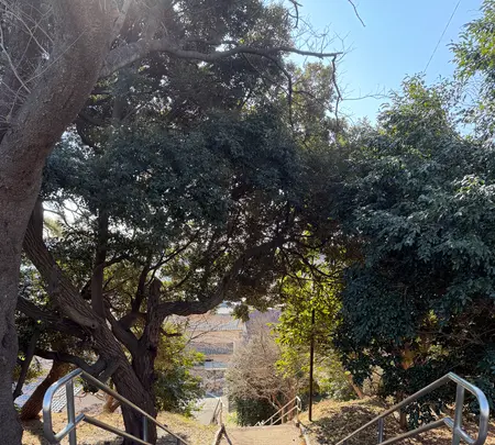 関戸城天守台跡の写真・動画_image_805994