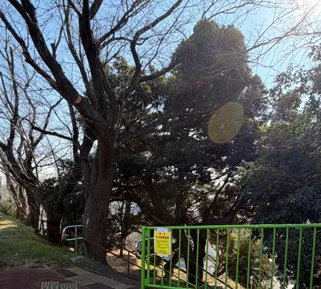 関戸城天守台跡の写真・動画_image_805995