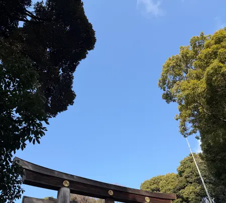 明治神宮の写真・動画_image_806385