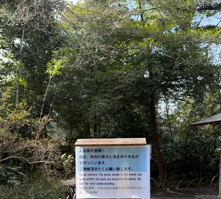 清正井の写真・動画_image_806388