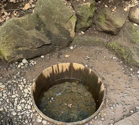 清正井の写真・動画_image_806390