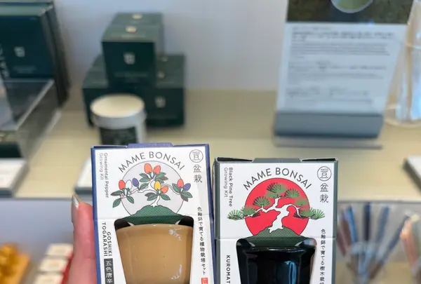 MoMAデザインストアの写真・動画_image_806409