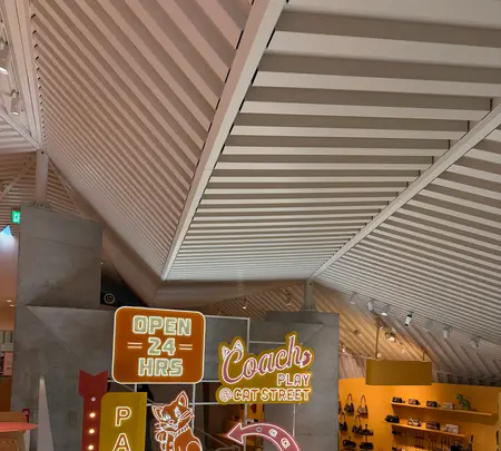 コーチ プレイ＠キャットストリートの写真・動画_image_806414