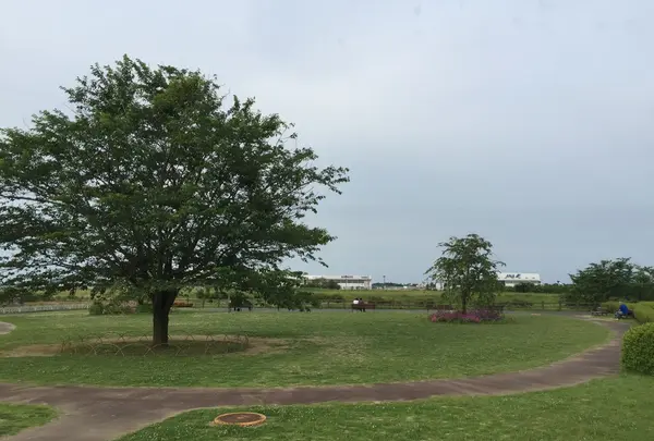 三里塚さくらの丘の写真・動画_image_80647