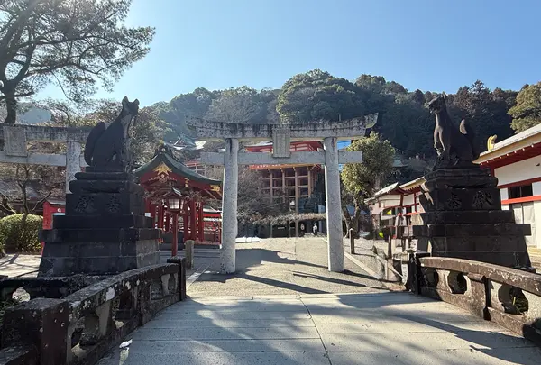 祐徳稲荷神社 鳥居の写真・動画_image_806688