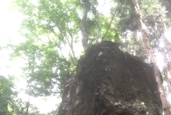 正丸駅の写真・動画_image_80763