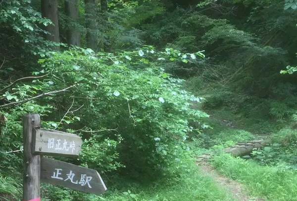 正丸駅の写真・動画_image_80764