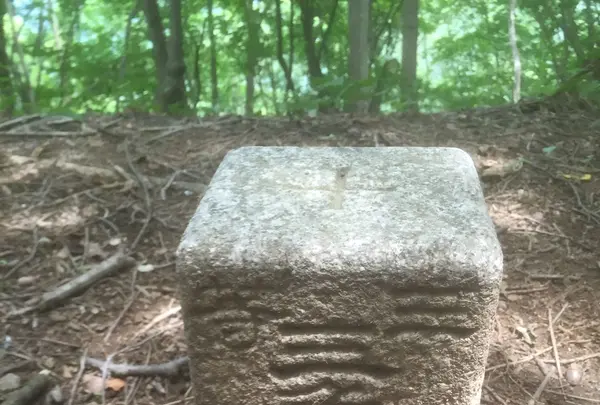 正丸駅の写真・動画_image_80767