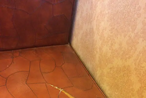 きゃんどるの写真・動画_image_80788