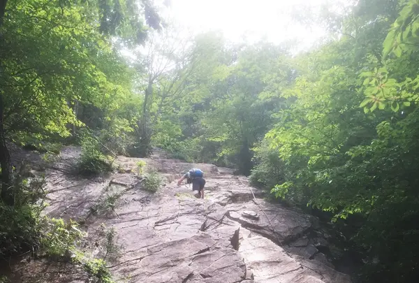 正丸峠の写真・動画_image_80804