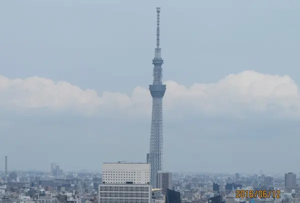 文京シビックセンター展望ラウンジの写真・動画_image_80835